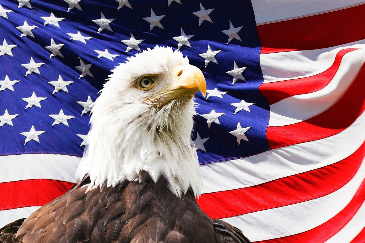 America Eagle