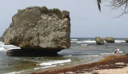Bathsheba Beach Barbados