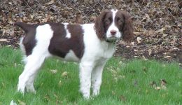 trixie09 (2)