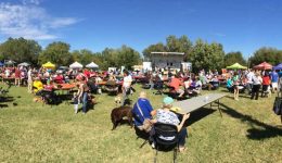 woofstock